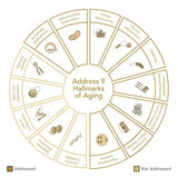 Niance Holistic Body Reset